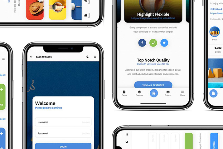Web App Development